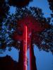 OBELISK (2019), Light Valmez Festival, Valašské Meziříčí (CZ) – Pavel Korbička, Kinsky Park, neon glass tubes, a pair of trees, 1800 cm